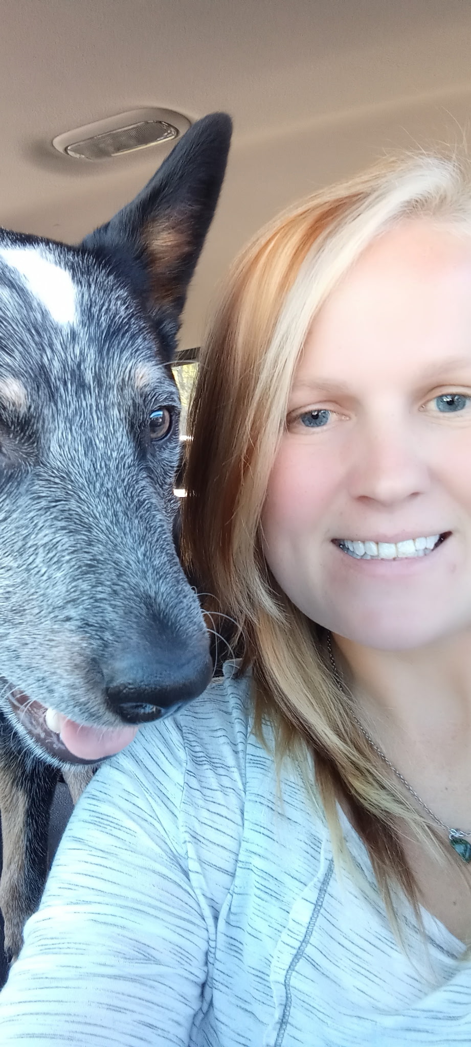 Lake Anna Veterinary Hospital Customer Service Representative - Lake Anna, VA