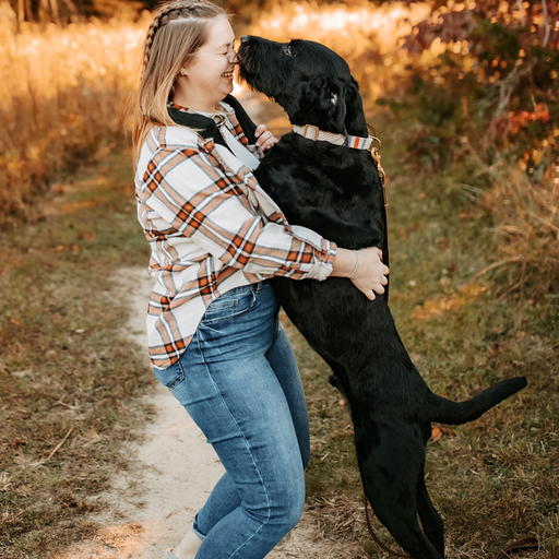 Lake Anna Veterinary Hospital - Lake Anna, VA